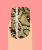 Animal Print 10